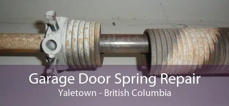 Garage Door Spring Repair Yaletown - British Columbia