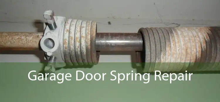 Garage Door Spring Repair  - 