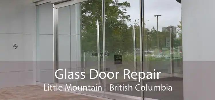 Glass Door Repair Little Mountain - British Columbia