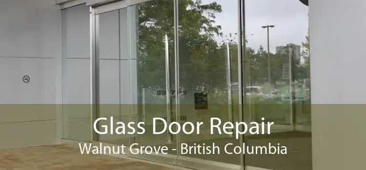 Glass Door Repair Walnut Grove - British Columbia