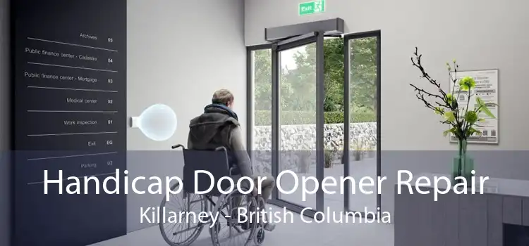 Handicap Door Opener Repair Killarney - British Columbia