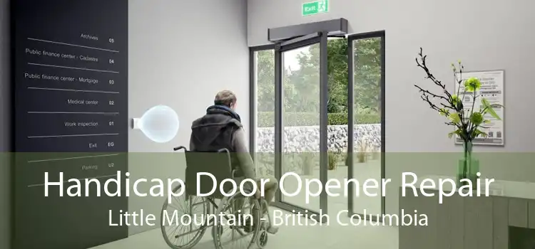 Handicap Door Opener Repair Little Mountain - British Columbia