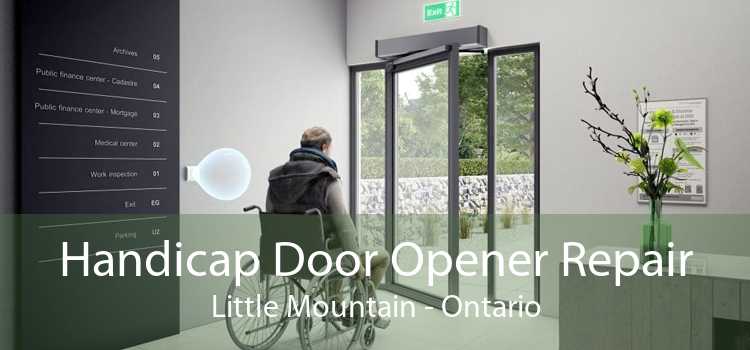 Handicap Door Opener Repair Little Mountain - Ontario