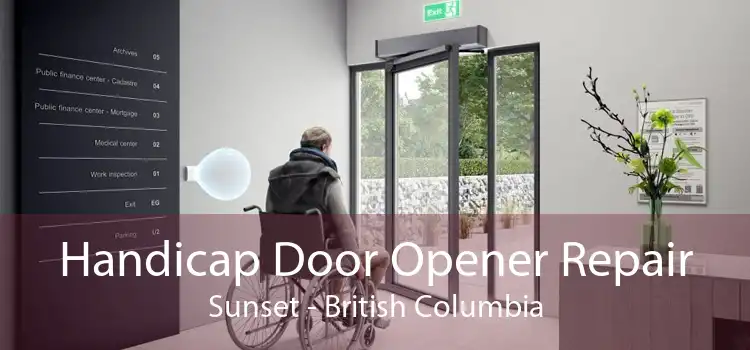 Handicap Door Opener Repair Sunset - British Columbia