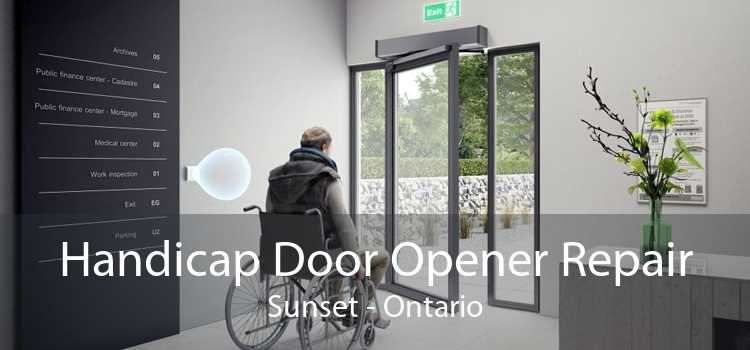 Handicap Door Opener Repair Sunset - Ontario