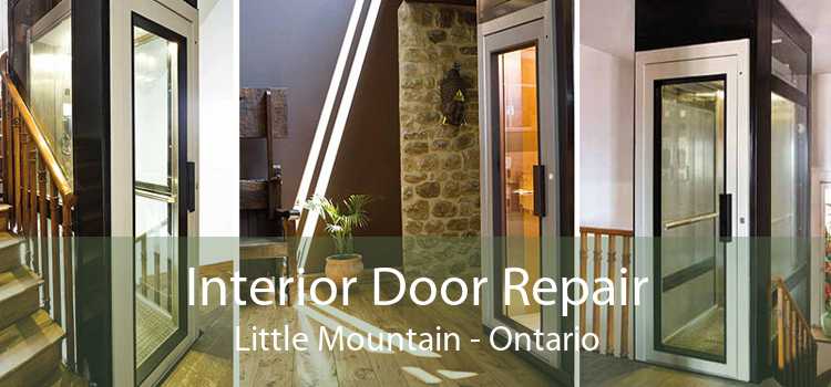 Interior Door Repair Little Mountain - Ontario