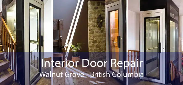 Interior Door Repair Walnut Grove - British Columbia