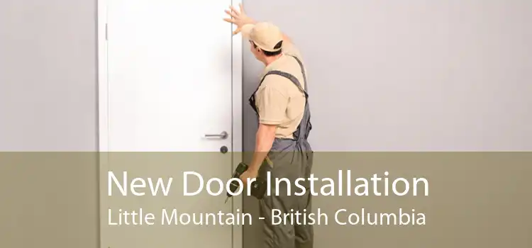 New Door Installation Little Mountain - British Columbia