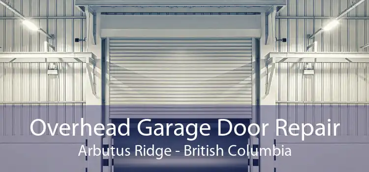 Overhead Garage Door Repair Arbutus Ridge - British Columbia