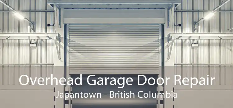 Overhead Garage Door Repair Japantown - British Columbia