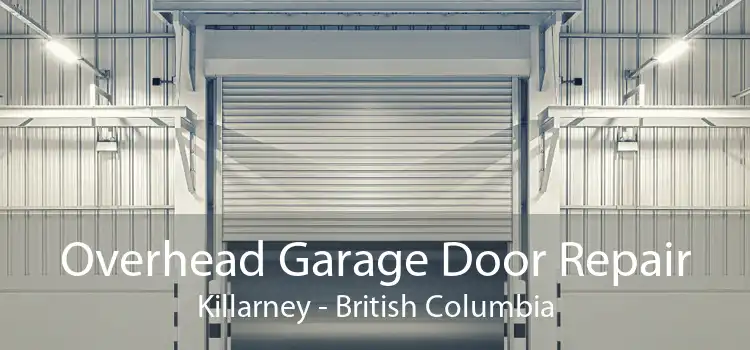 Overhead Garage Door Repair Killarney - British Columbia