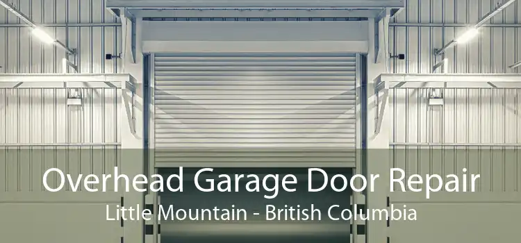 Overhead Garage Door Repair Little Mountain - British Columbia