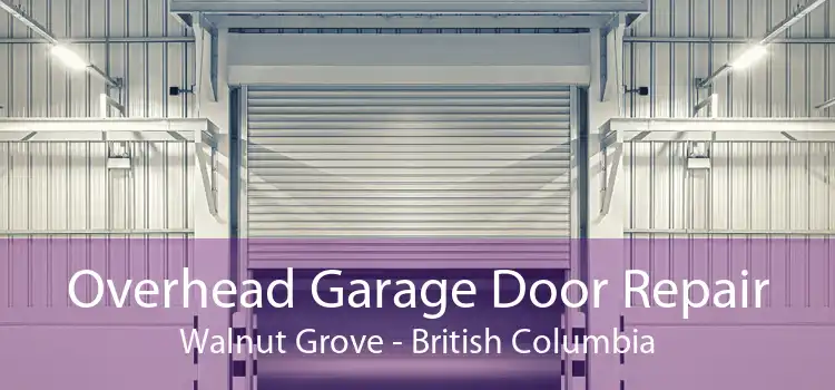 Overhead Garage Door Repair Walnut Grove - British Columbia