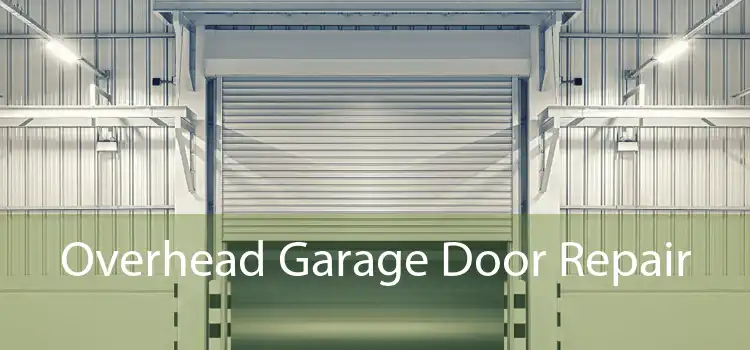Overhead Garage Door Repair  - 