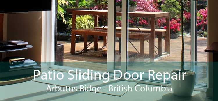 Patio Sliding Door Repair Arbutus Ridge - British Columbia