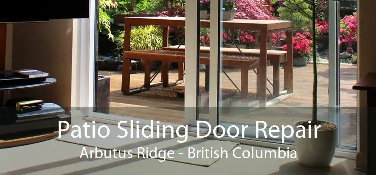Patio Sliding Door Repair Arbutus Ridge - British Columbia
