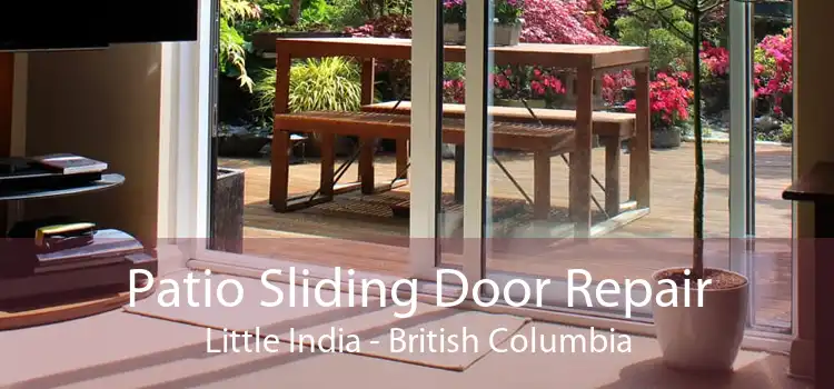 Patio Sliding Door Repair Little India - British Columbia