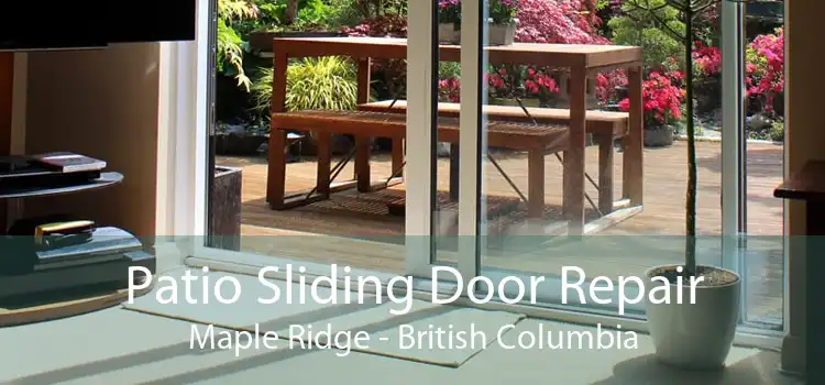 Patio Sliding Door Repair Maple Ridge - British Columbia