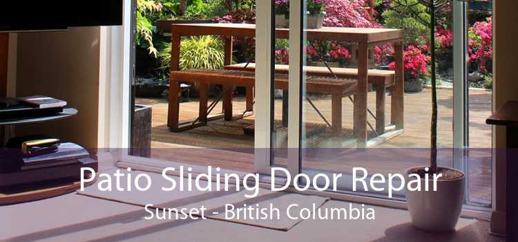 Patio Sliding Door Repair Sunset - British Columbia