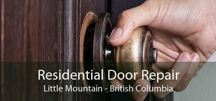 Residential Door Repair Little Mountain - British Columbia