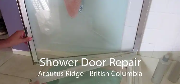 Shower Door Repair Arbutus Ridge - British Columbia