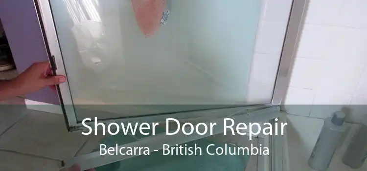 Shower Door Repair Belcarra - British Columbia