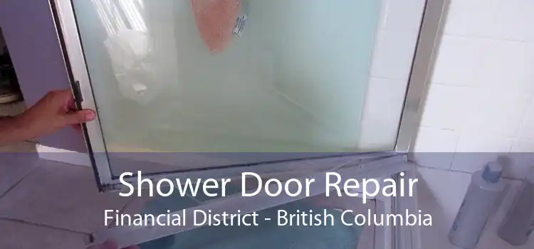 Shower Door Repair Financial District - British Columbia