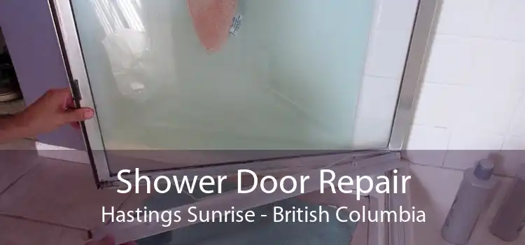 Shower Door Repair Hastings Sunrise - British Columbia