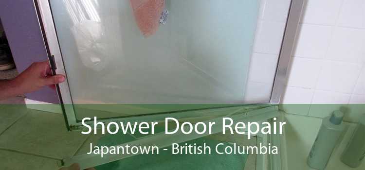 Shower Door Repair Japantown - British Columbia