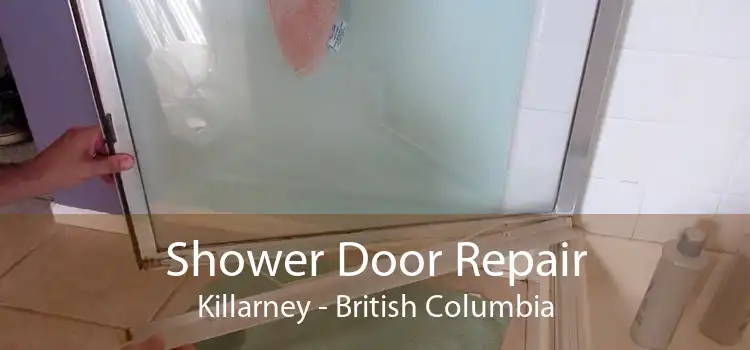 Shower Door Repair Killarney - British Columbia