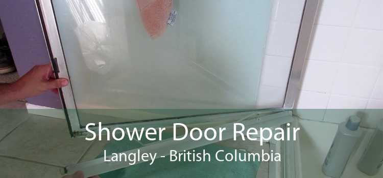 Shower Door Repair Langley - British Columbia