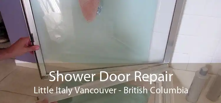 Shower Door Repair Little Italy Vancouver - British Columbia