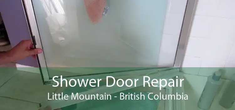Shower Door Repair Little Mountain - British Columbia
