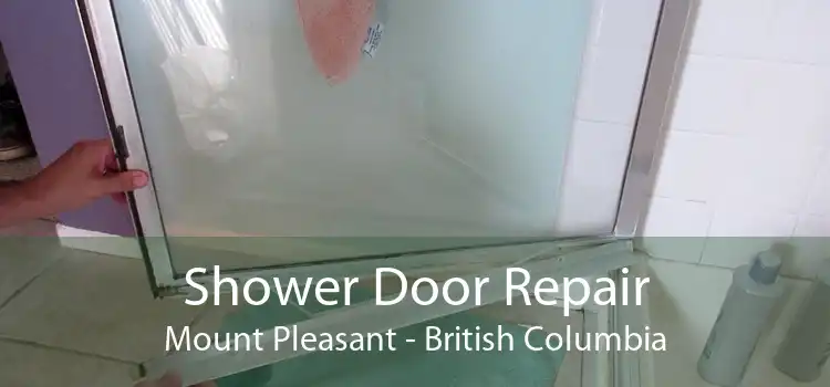 Shower Door Repair Mount Pleasant - British Columbia