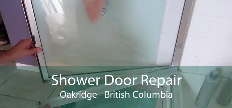 Shower Door Repair Oakridge - British Columbia