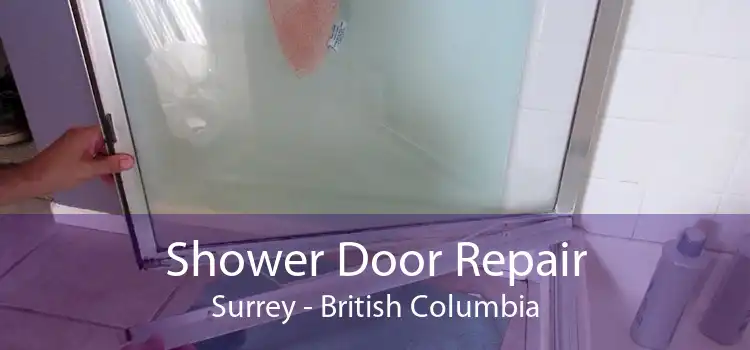 Shower Door Repair Surrey - British Columbia