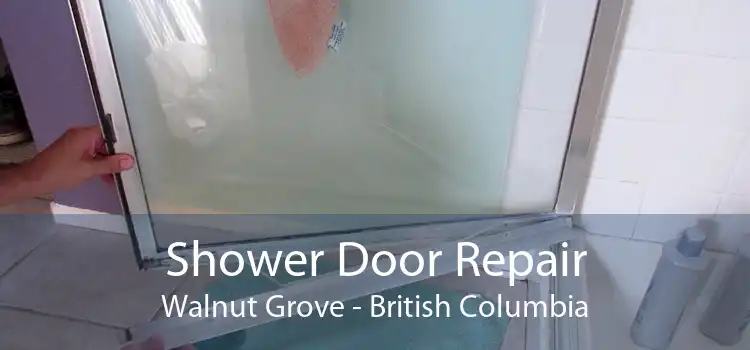 Shower Door Repair Walnut Grove - British Columbia