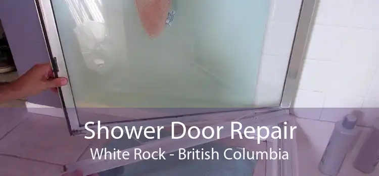 Shower Door Repair White Rock - British Columbia