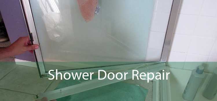 Shower Door Repair  - 