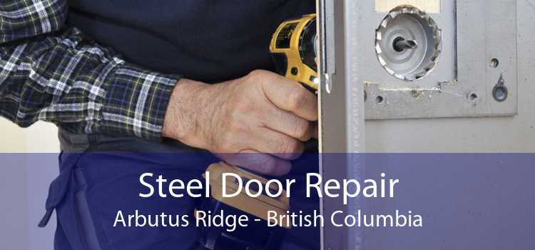 Steel Door Repair Arbutus Ridge - British Columbia