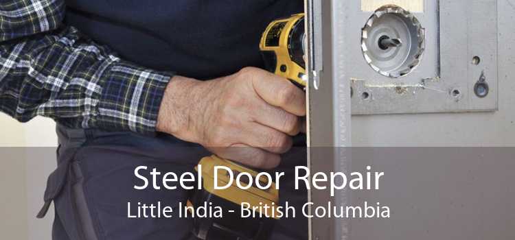 Steel Door Repair Little India - British Columbia