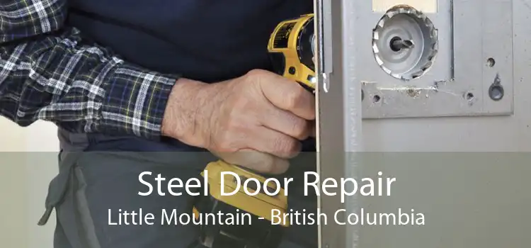 Steel Door Repair Little Mountain - British Columbia