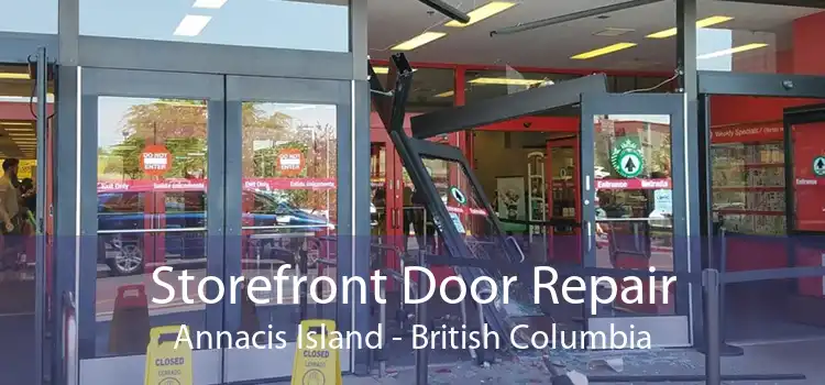 Storefront Door Repair Annacis Island - British Columbia