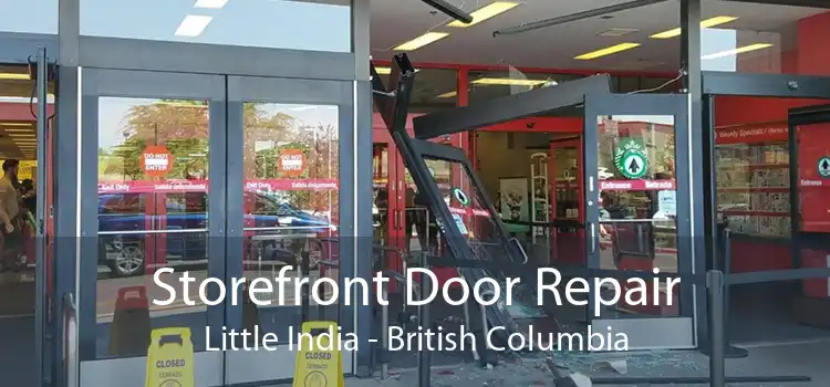 Storefront Door Repair Little India - British Columbia