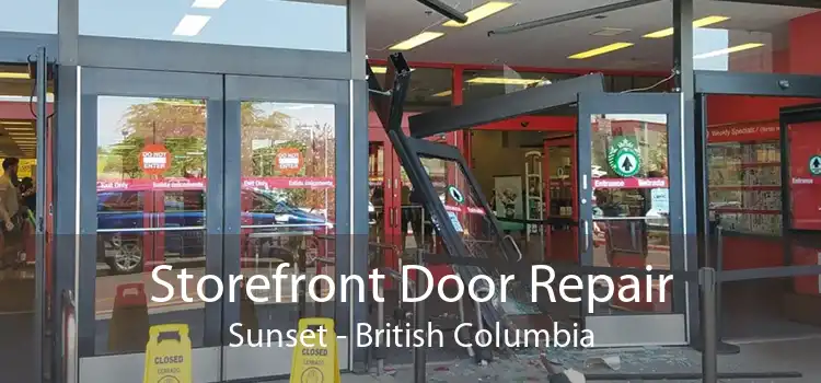 Storefront Door Repair Sunset - British Columbia